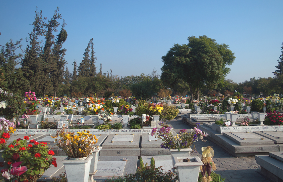 Plan Maestro Cementerio Metropolitano